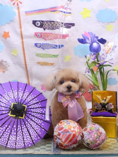 20240517マロンくん